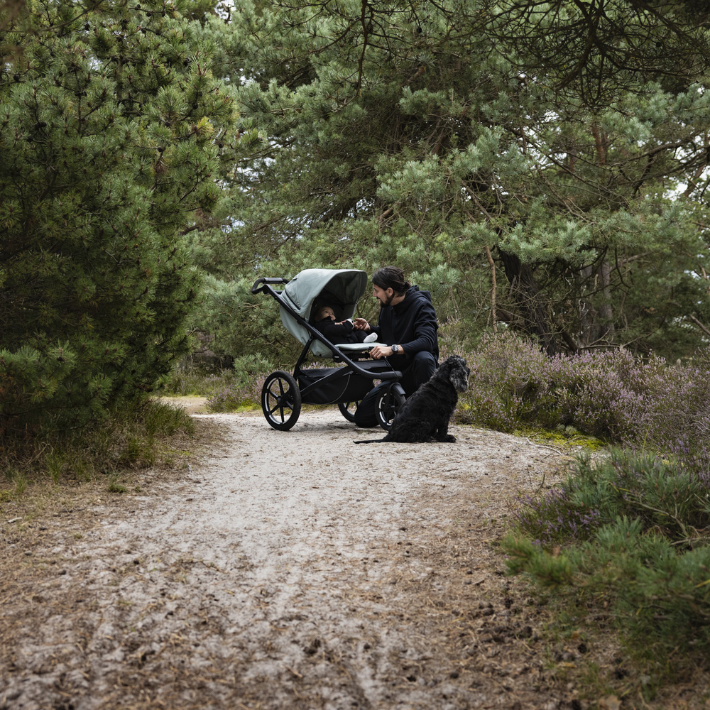  Thule Urban Glide 3- Mist Green