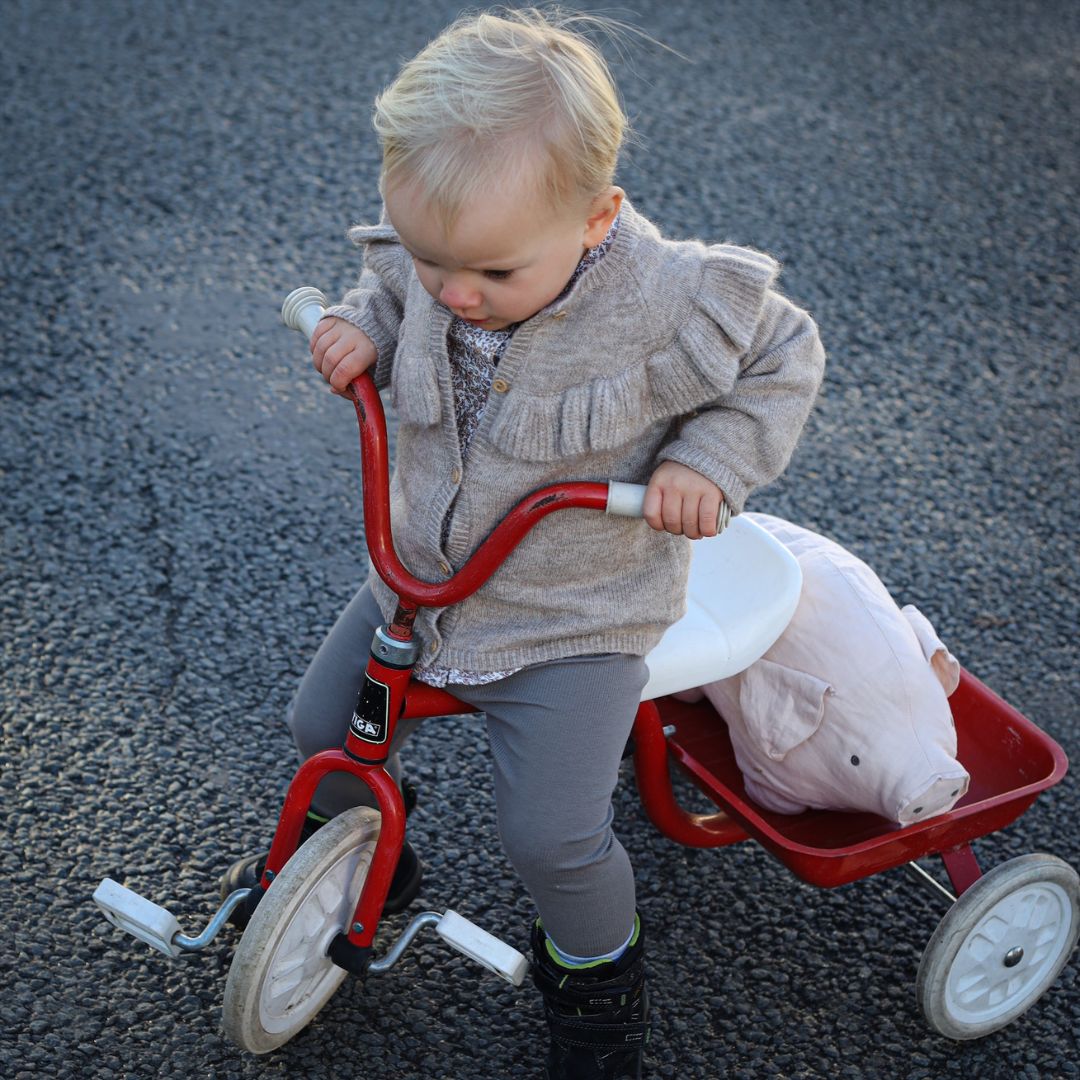 Rätt Start Lotta på Bråkmarakgatan Bamse som krammedyr