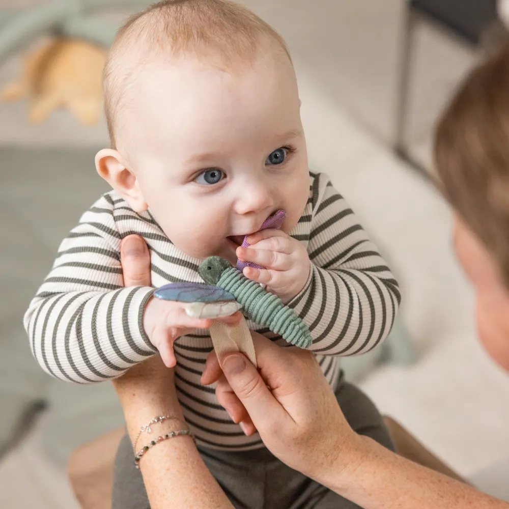 Sebra Aktivitetslegetøj 3 stk blomst/guldsmed/svane