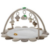 Right Start Owls Baby Gym