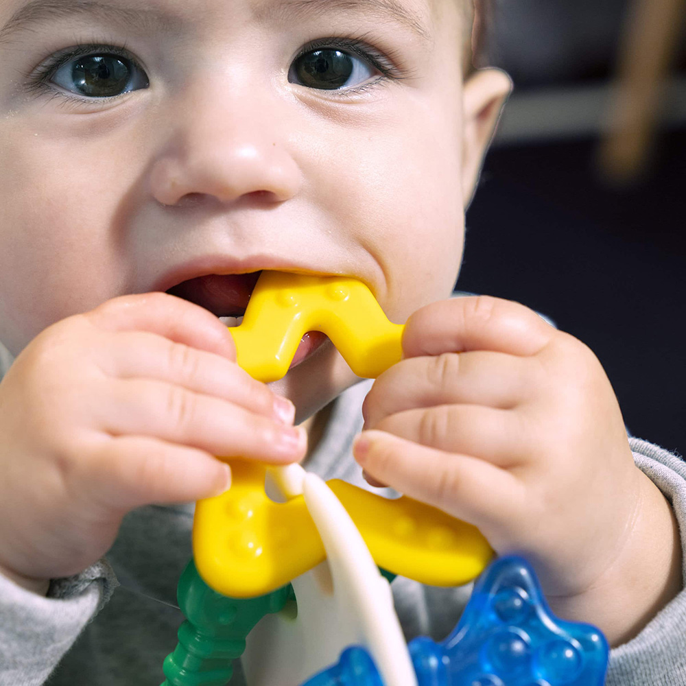 Baby Einstein bitring hav tema