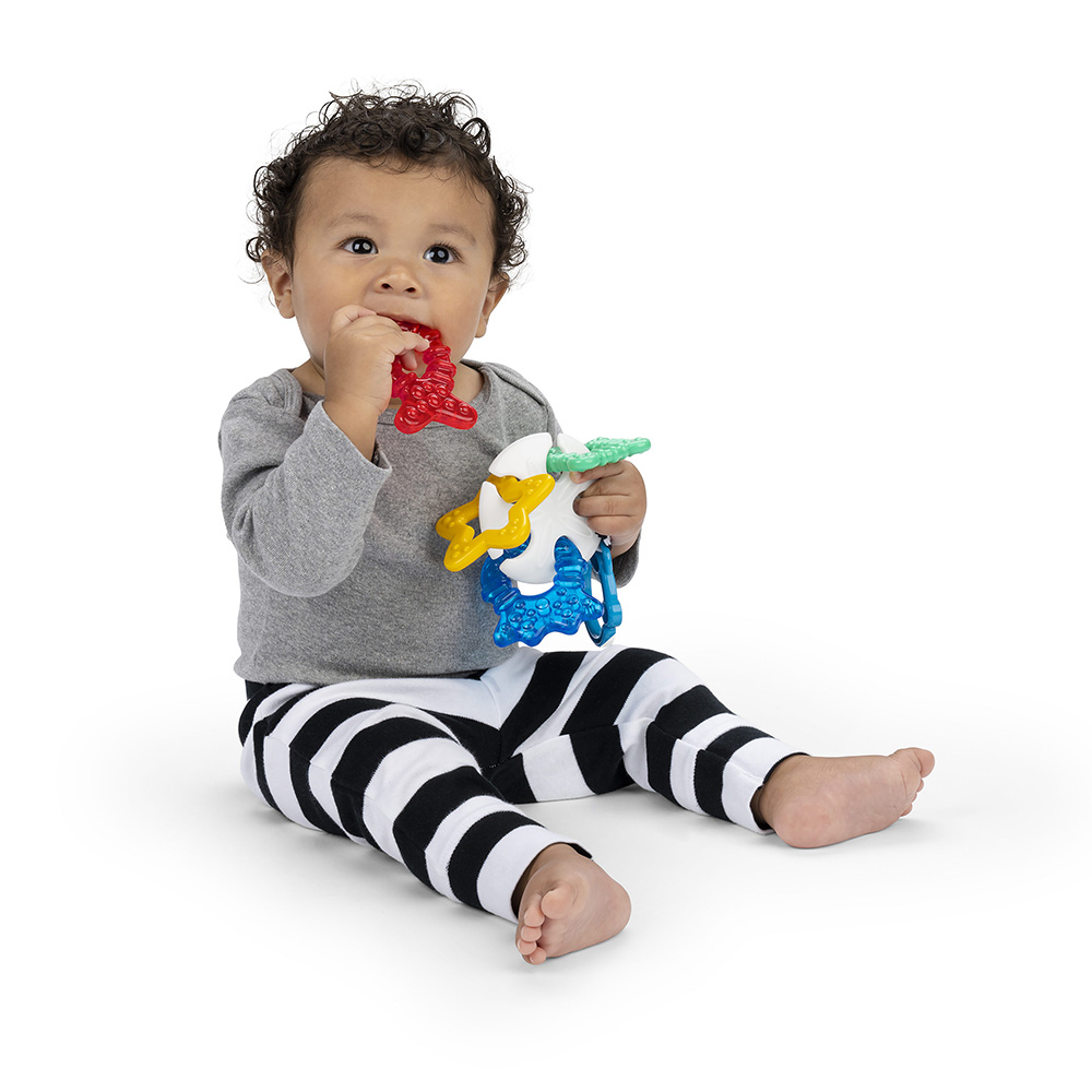 Baby Einstein bitring hav tema