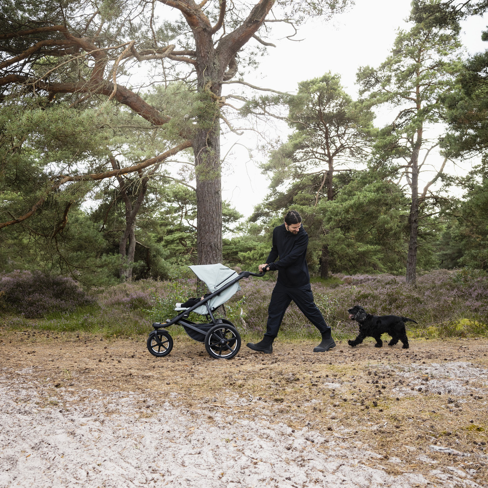 Thule Urban Glide 3- Mist Green