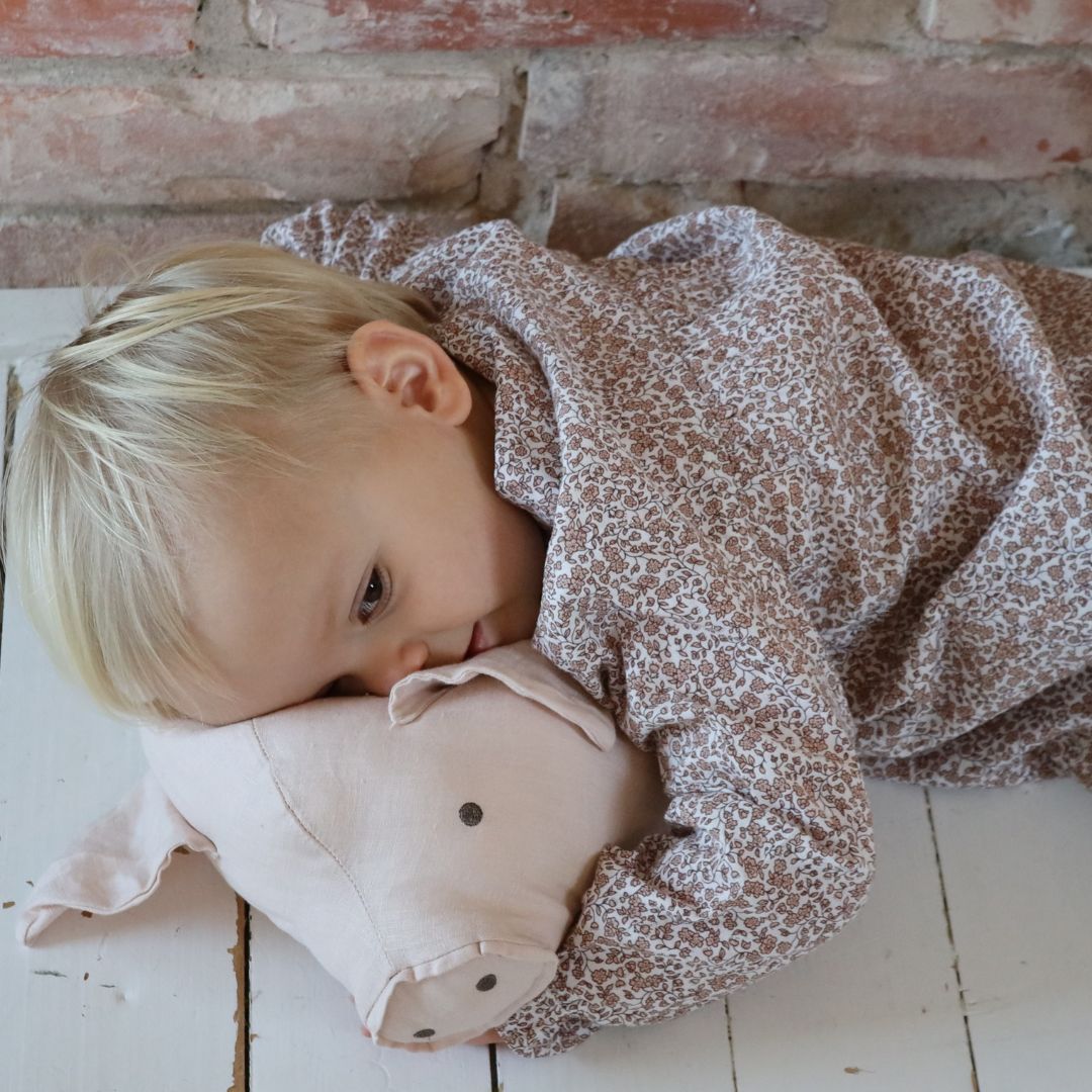Rätt Start Lotta på Bråkmarakgatan Bamse som krammedyr