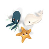 Filibabba neopren badelegetøj - Ocean Friends