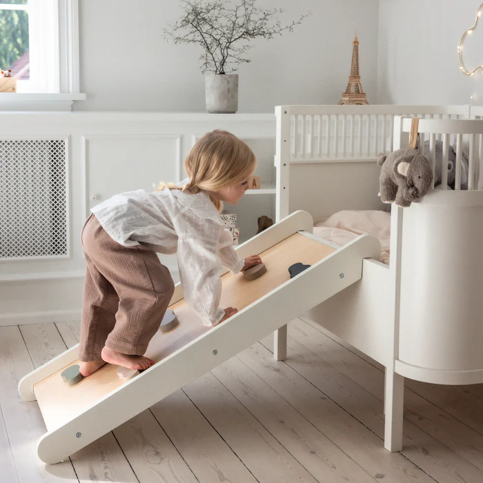 Sebra 2-i-1 klatre- og rutsjebane