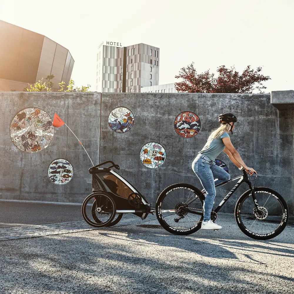 Thule Chariot Lite single Vintage Green