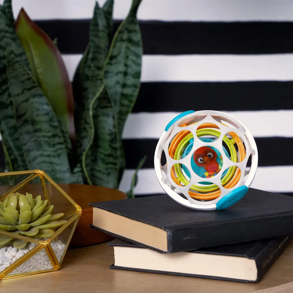 Baby Einstein Roxy's Gyroskop