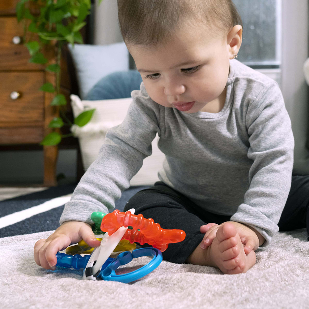 Baby Einstein bitring hav tema