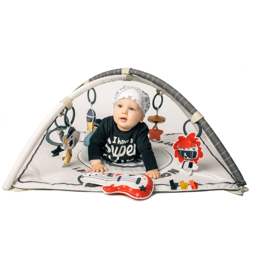 Tiny Love Rock with me Babygym