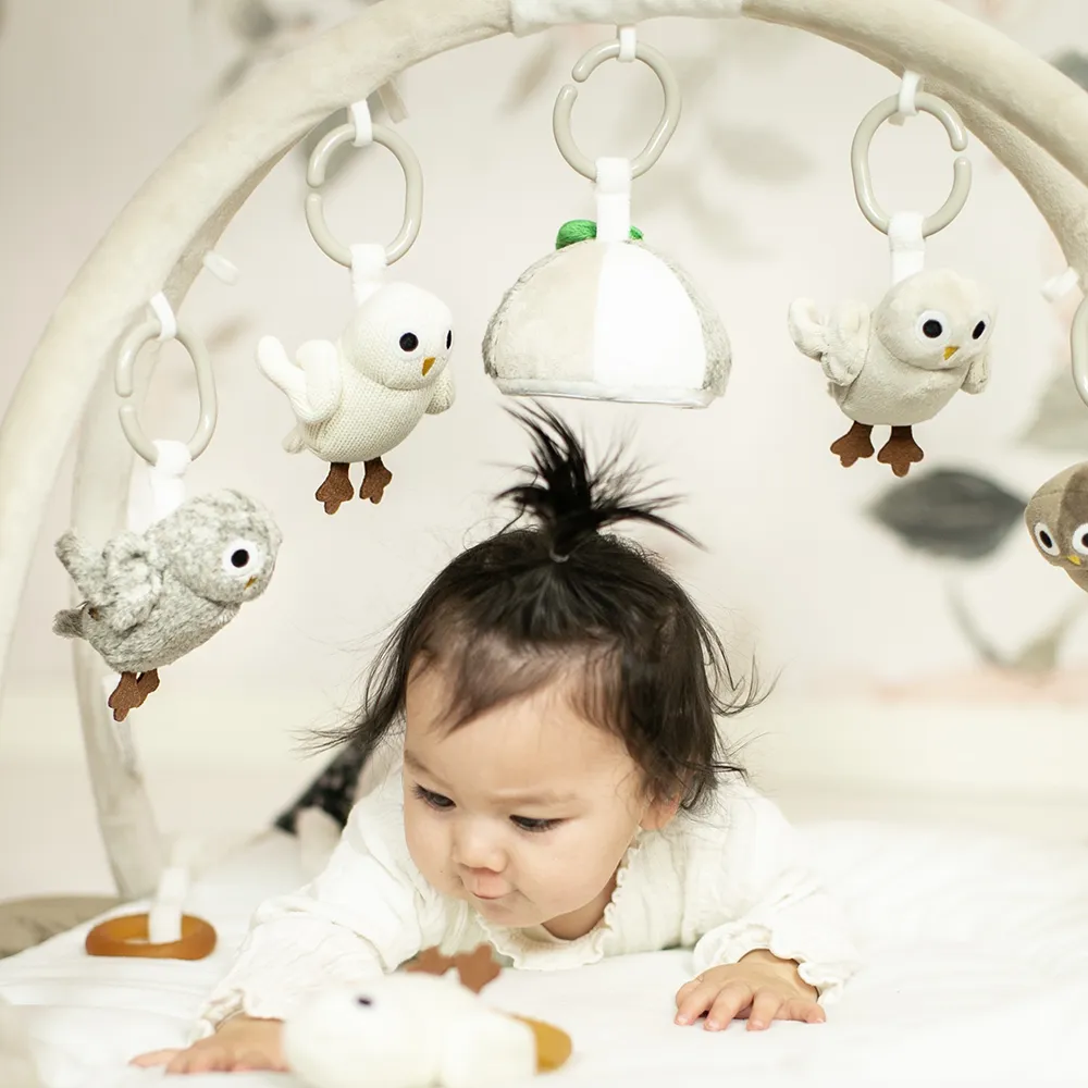 Right Start Owls Baby Gym