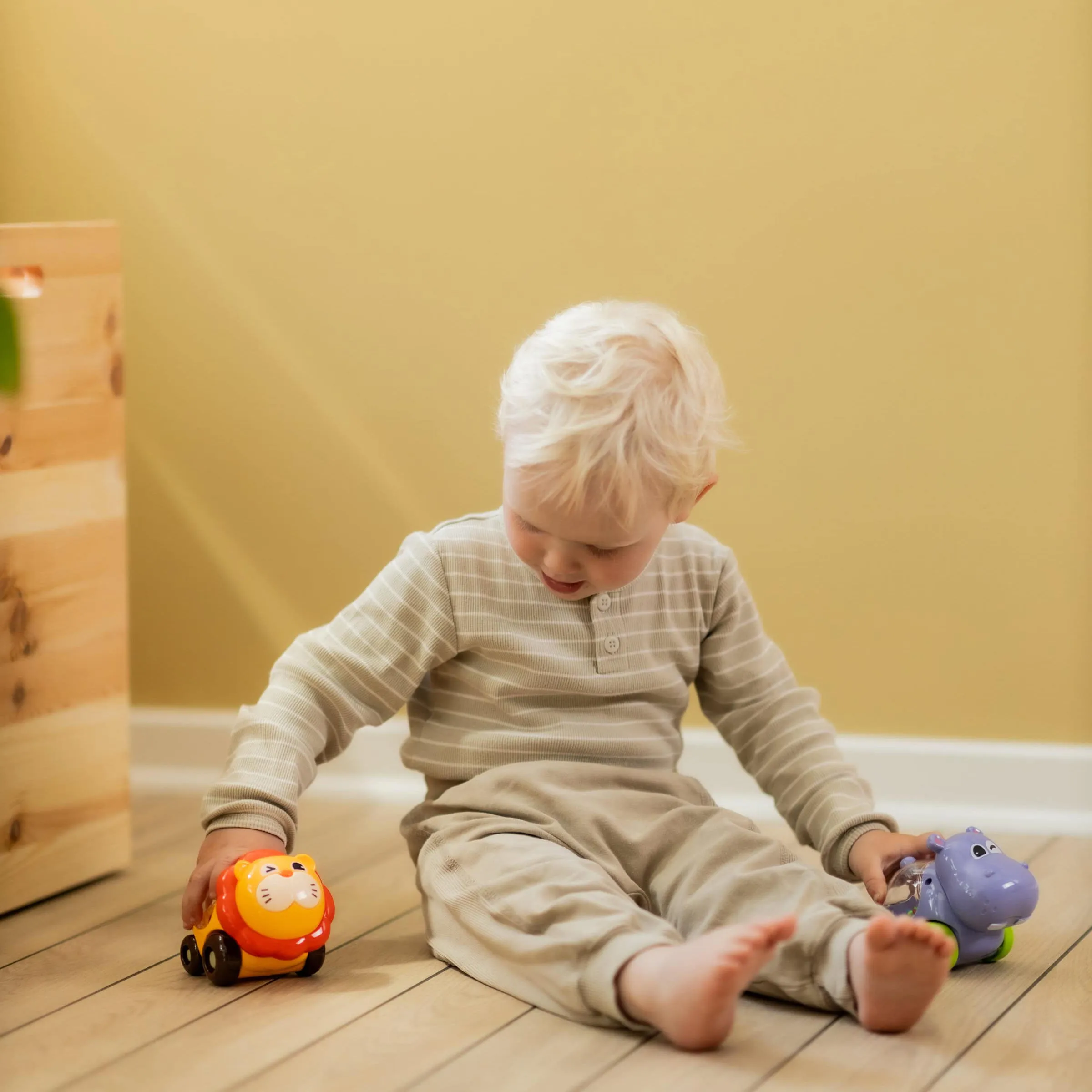  Scandinavian Baby legetøjsbil konfetti løve