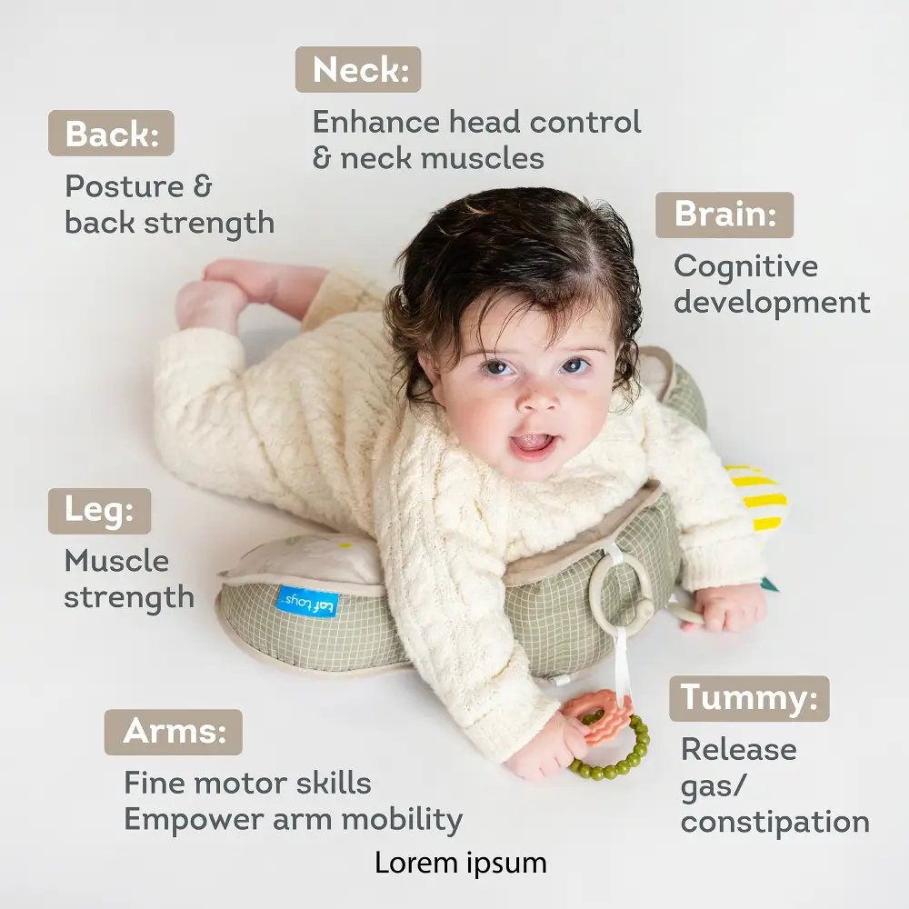 Taf Toys Bear Tummy Time Pillow