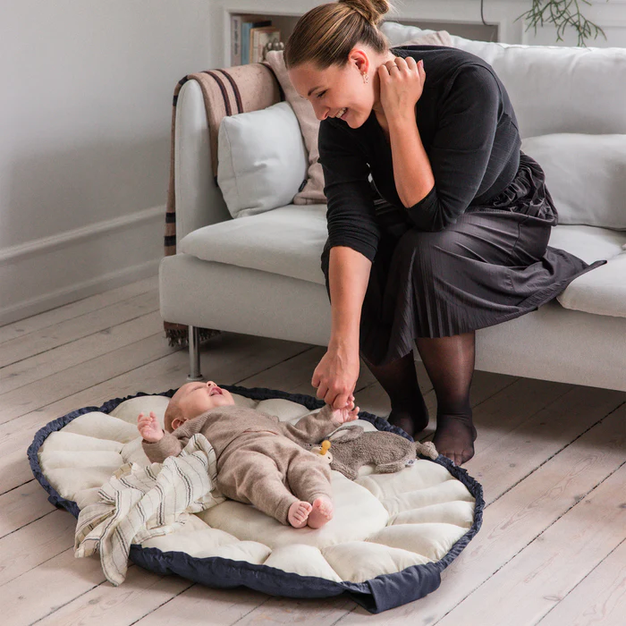 Sebra 3-in-1 Baby Nest Blue