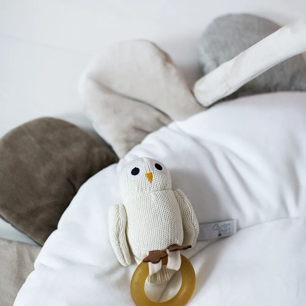 Right Start Owls Baby Gym