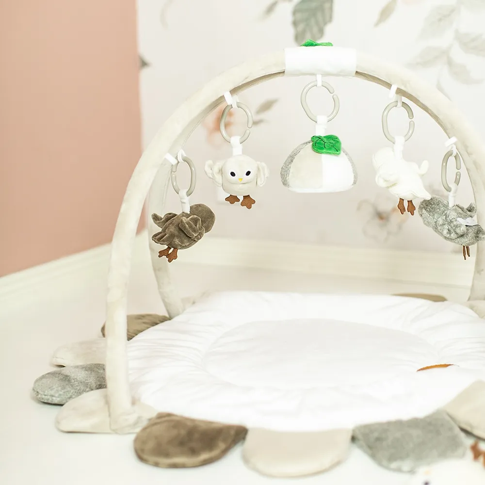Right Start Owls Baby Gym
