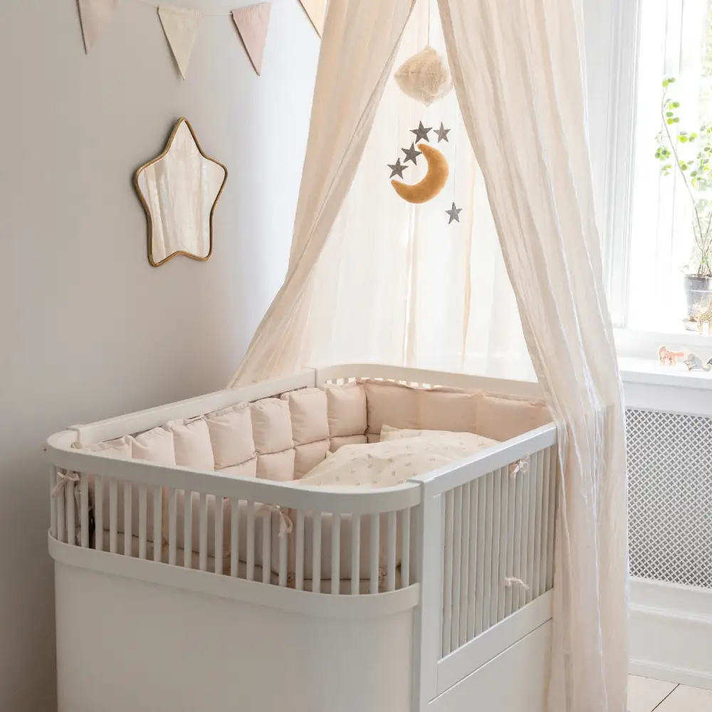 Sebra sengerandkapok birchbark rose