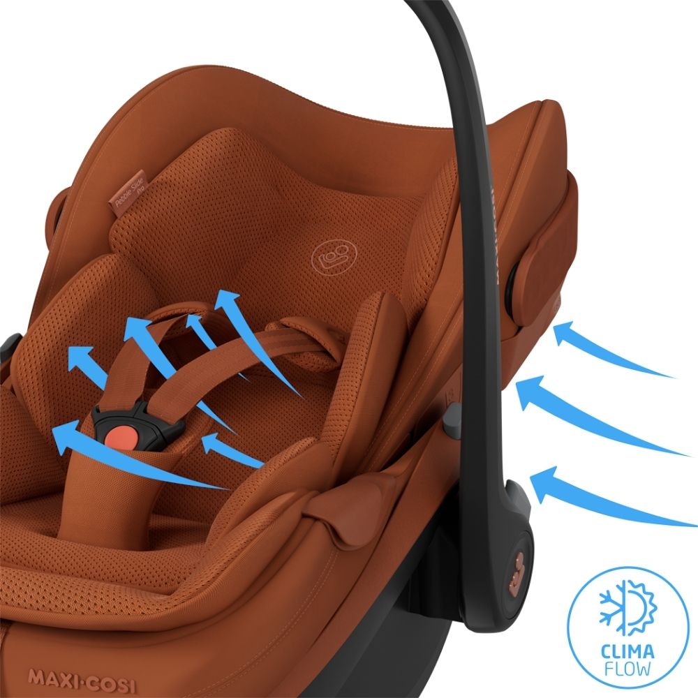 Maxi-Cosi Pebble Slide Pro Copper Terra