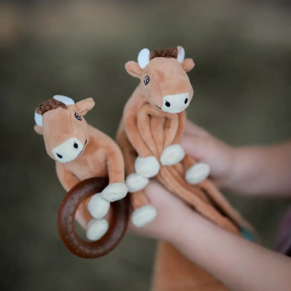 Rätt start Mamma Mu bidering med naturgummering