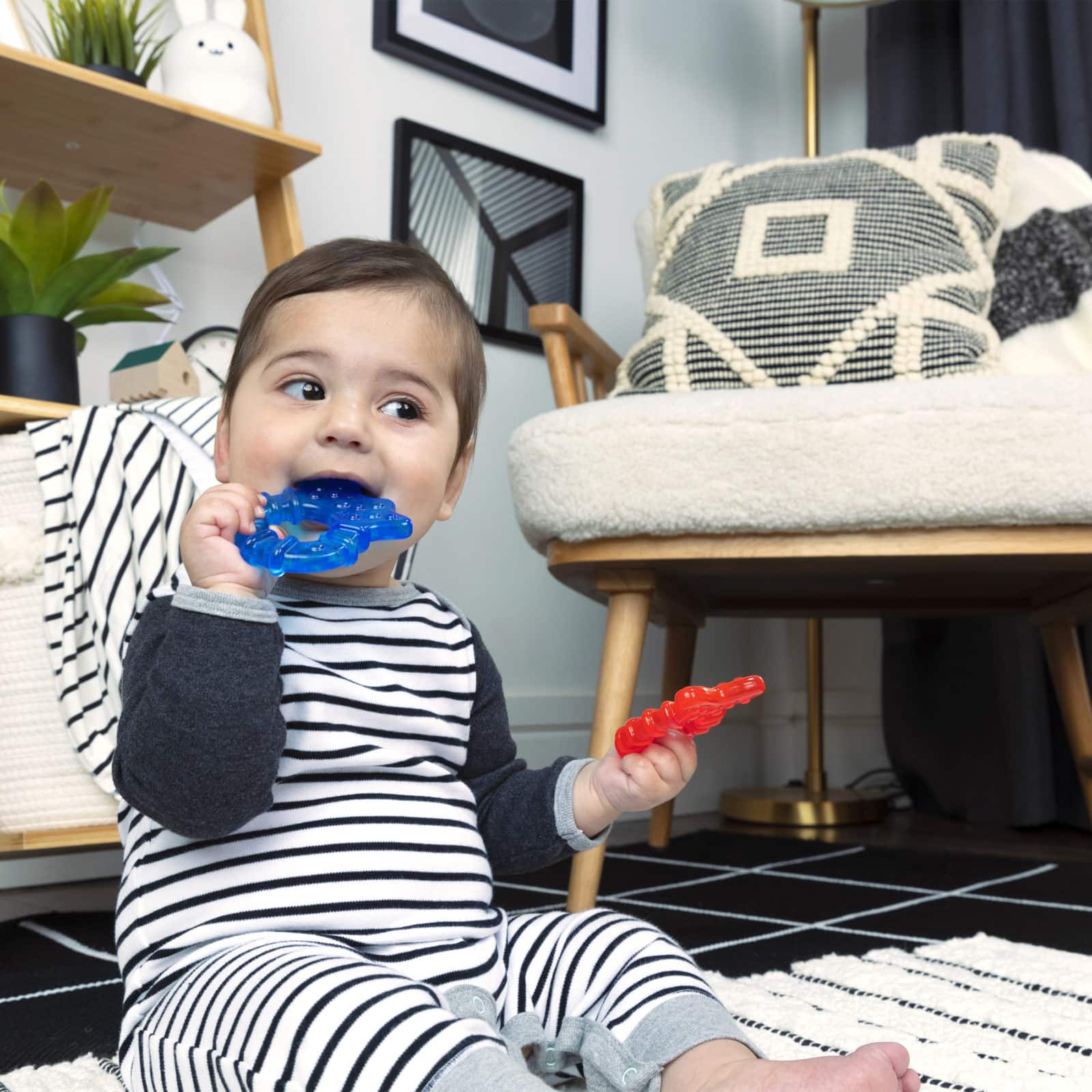 Baby Einstein Cool Critters Bideringssæt