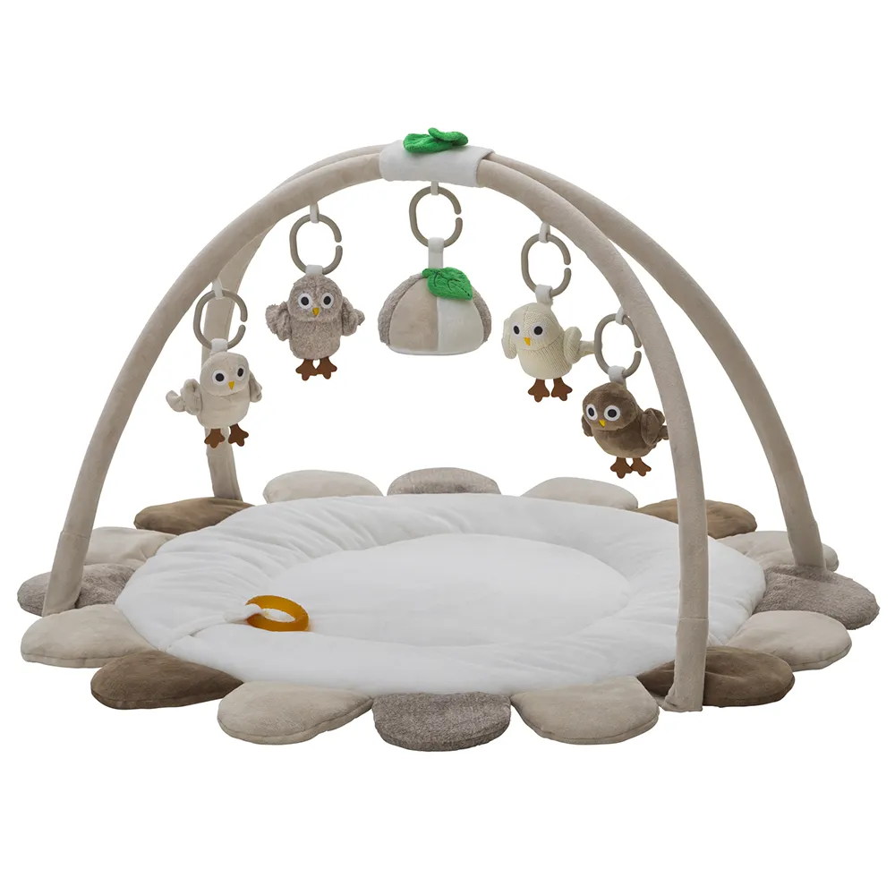 Right Start Owls Baby Gym