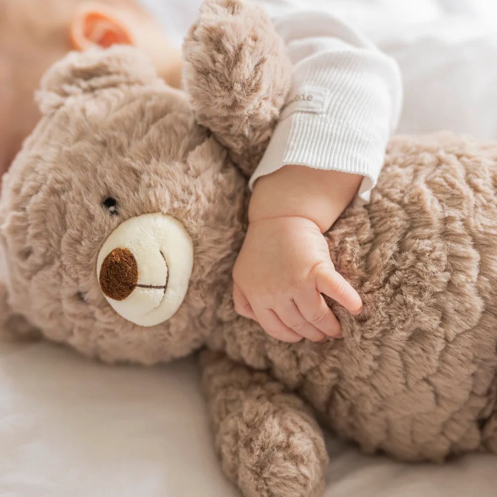 Teddykompaniet Varmelegetøj Bamse