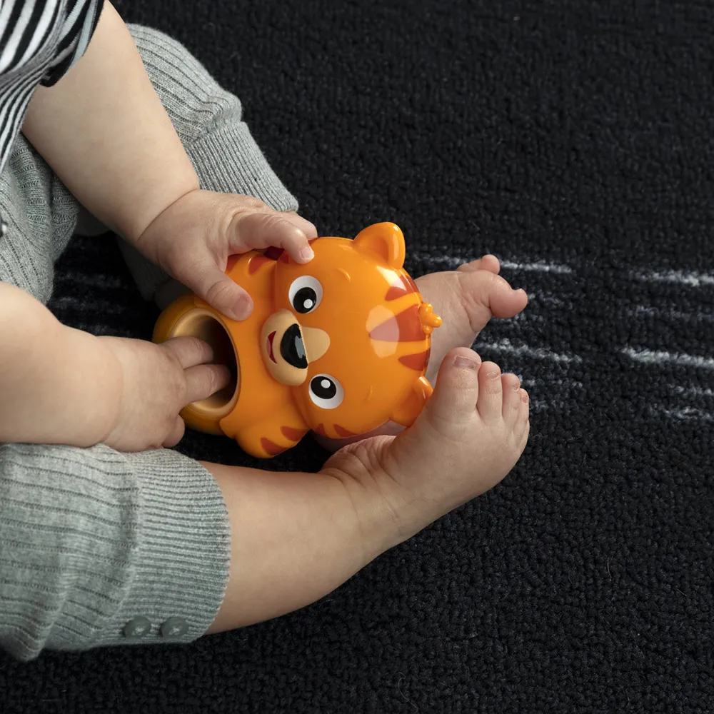 Baby Einstein Teethe & Wobble Tinker