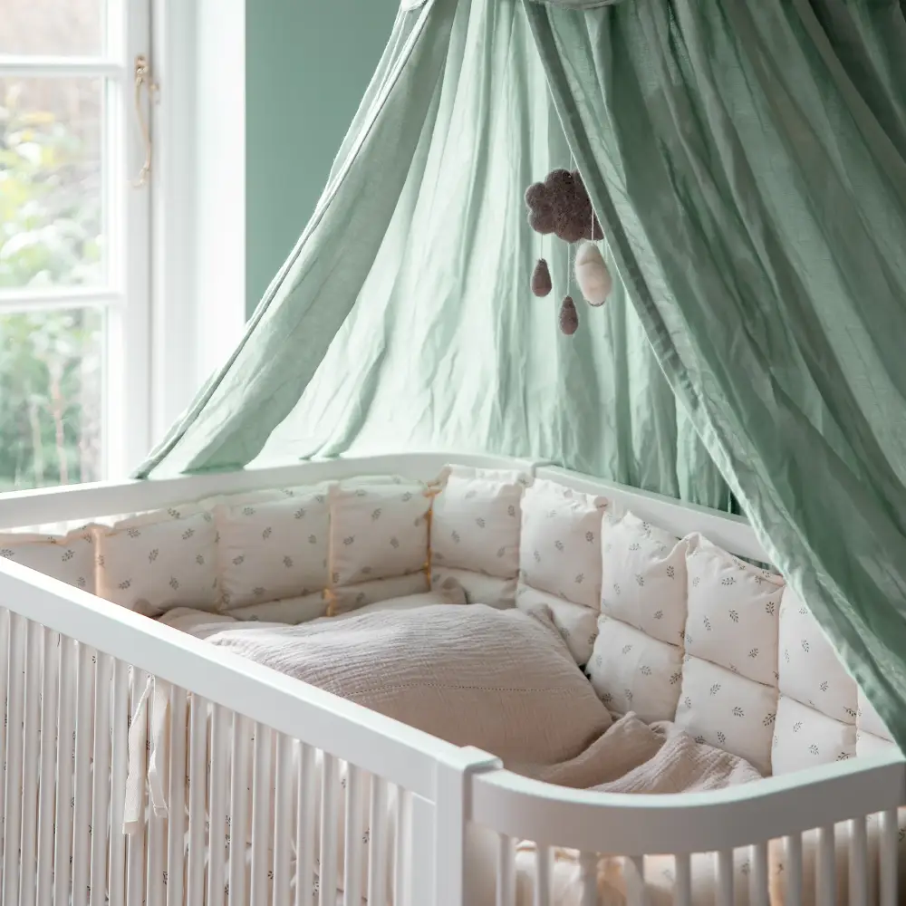 Sebra sengerand kapok Sophora Leaves