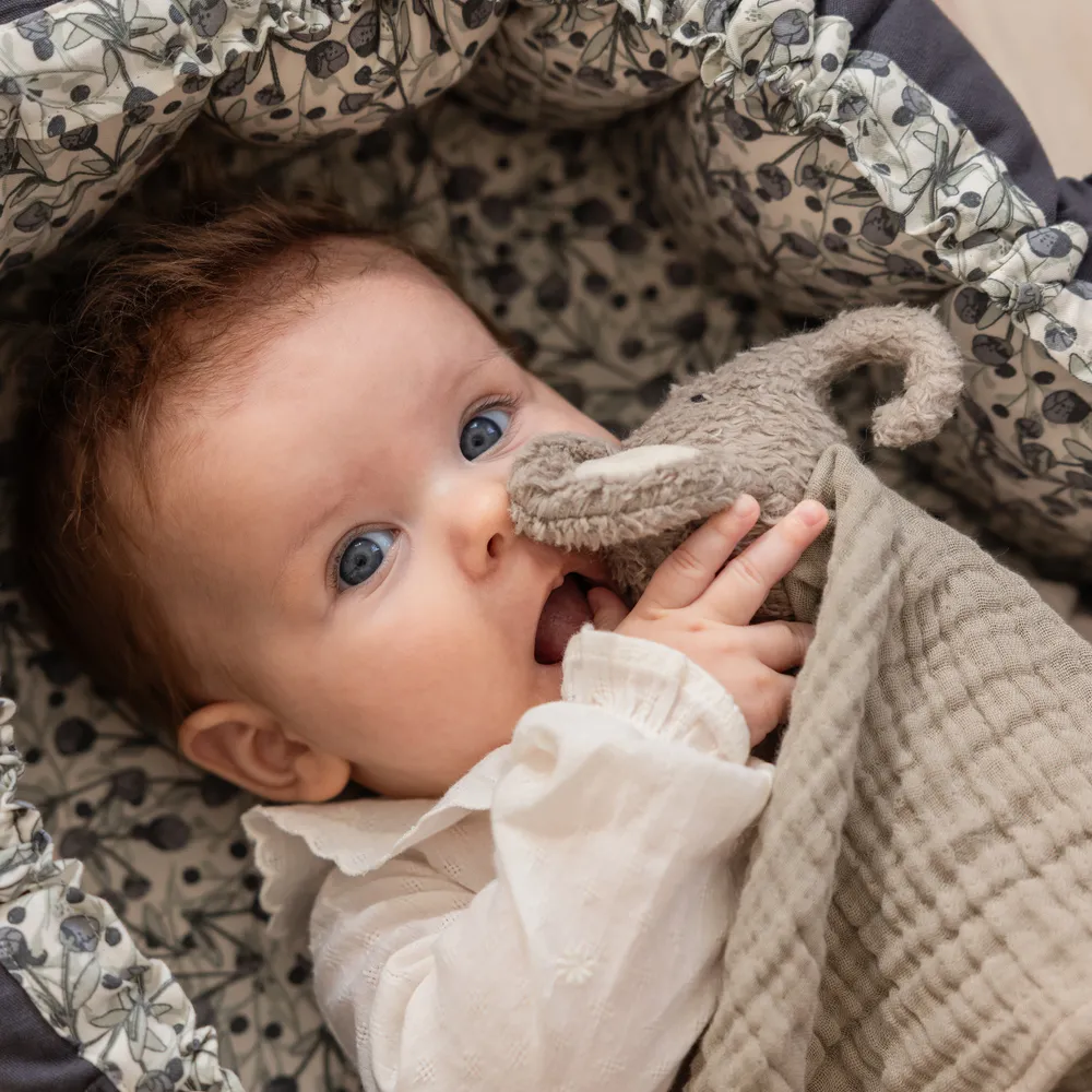 Sebra nusseklud Finley elefanten